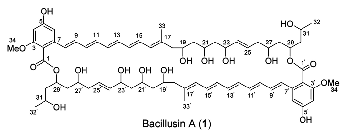 Bacillusin A