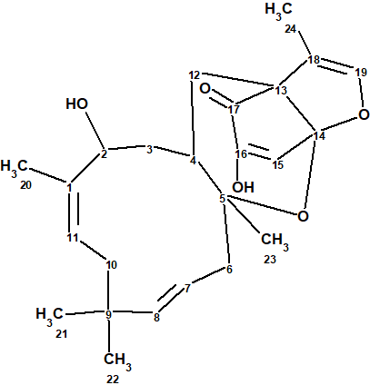 Neosetophomone A Structure Elucidation