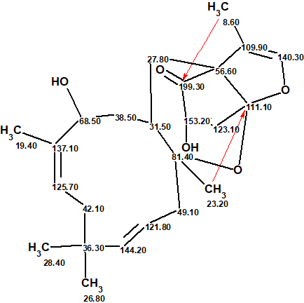 Neosetophomone A Structure Elucidation