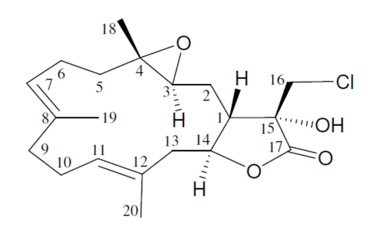 Lobocrassin A